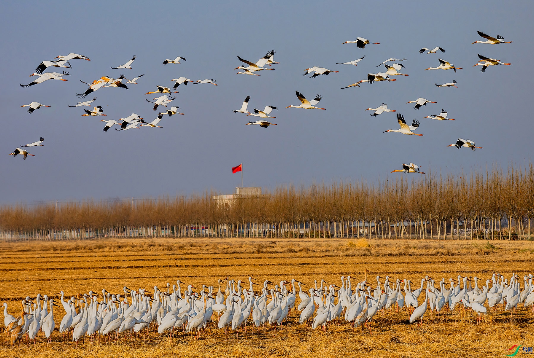 DSC_8248 ��������2.jpg