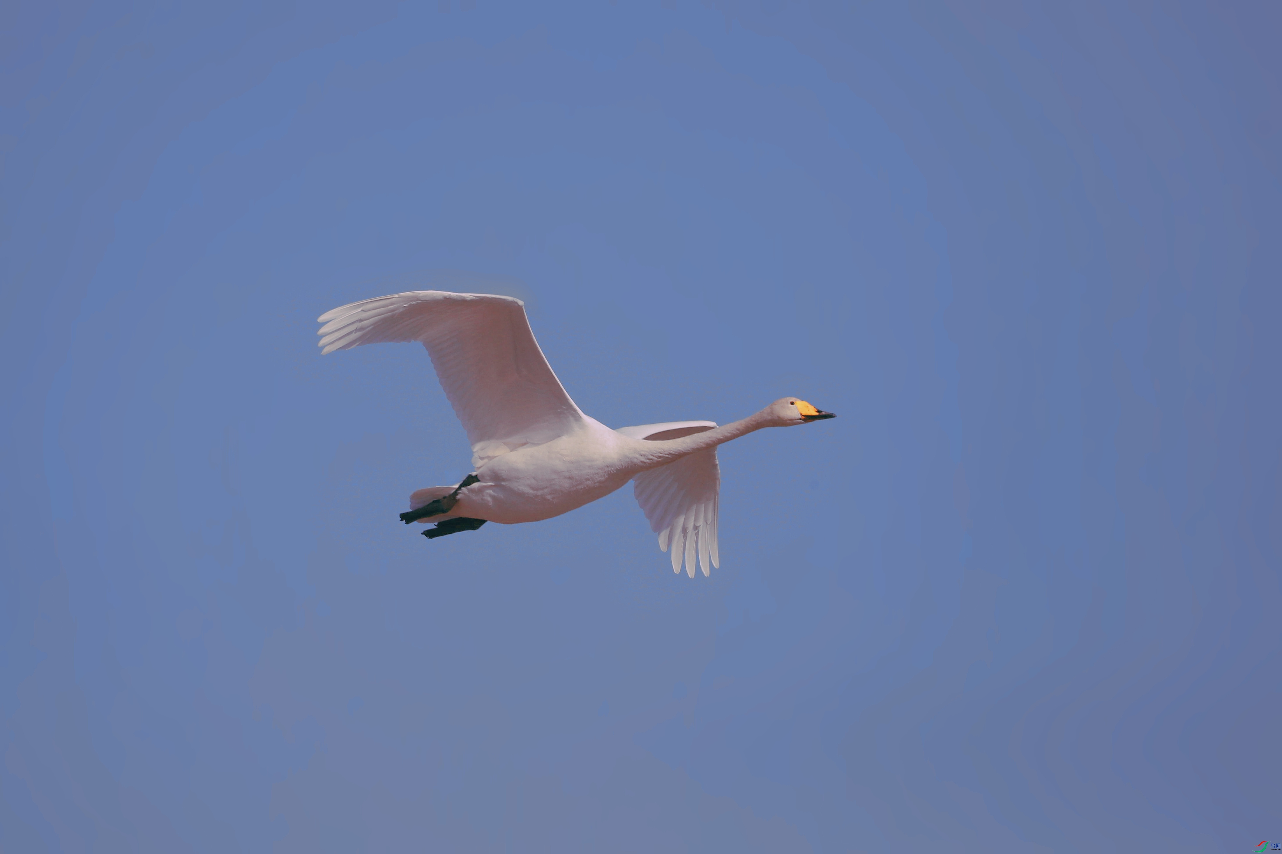 AS8I7932_����.jpg