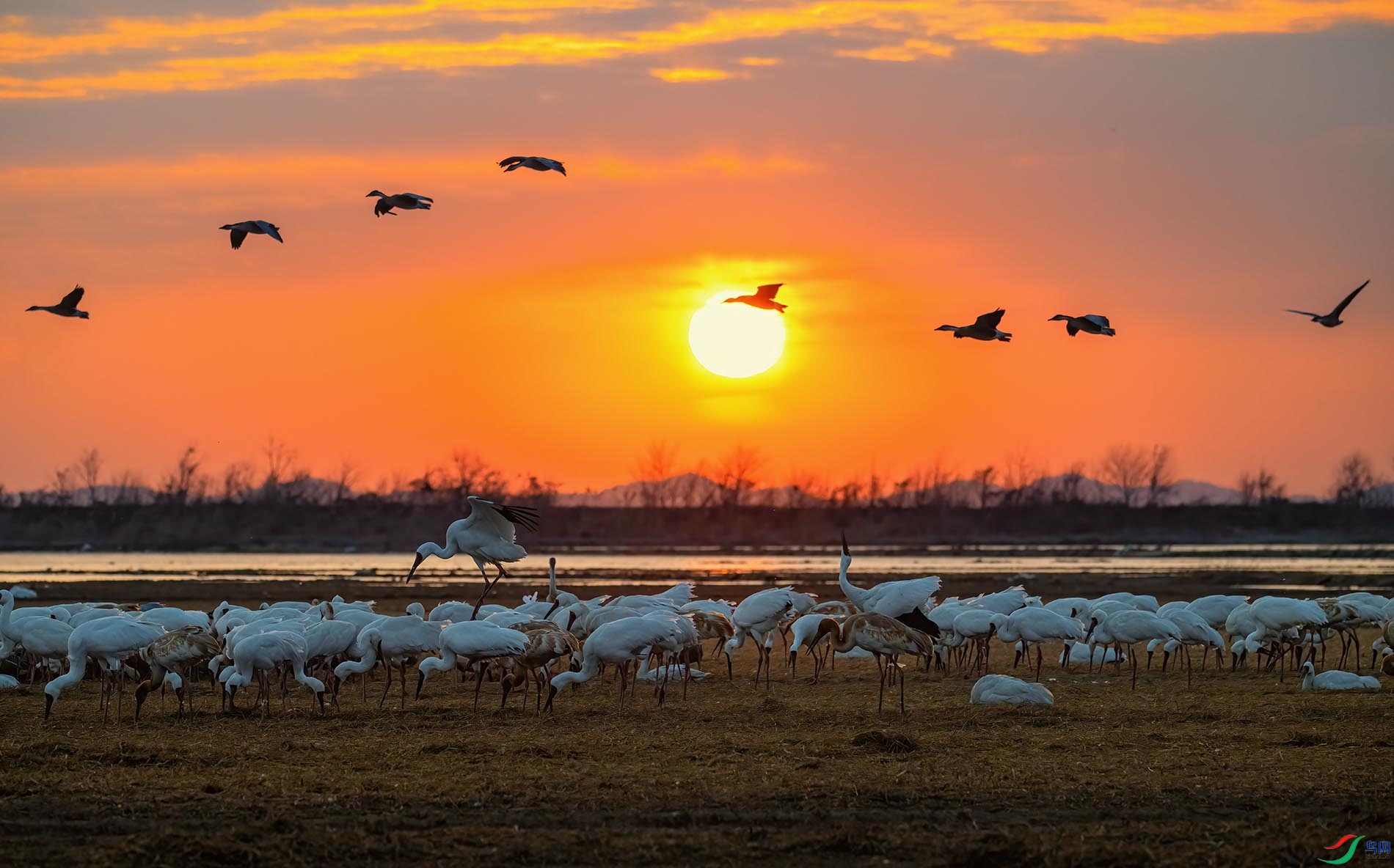 ۶������