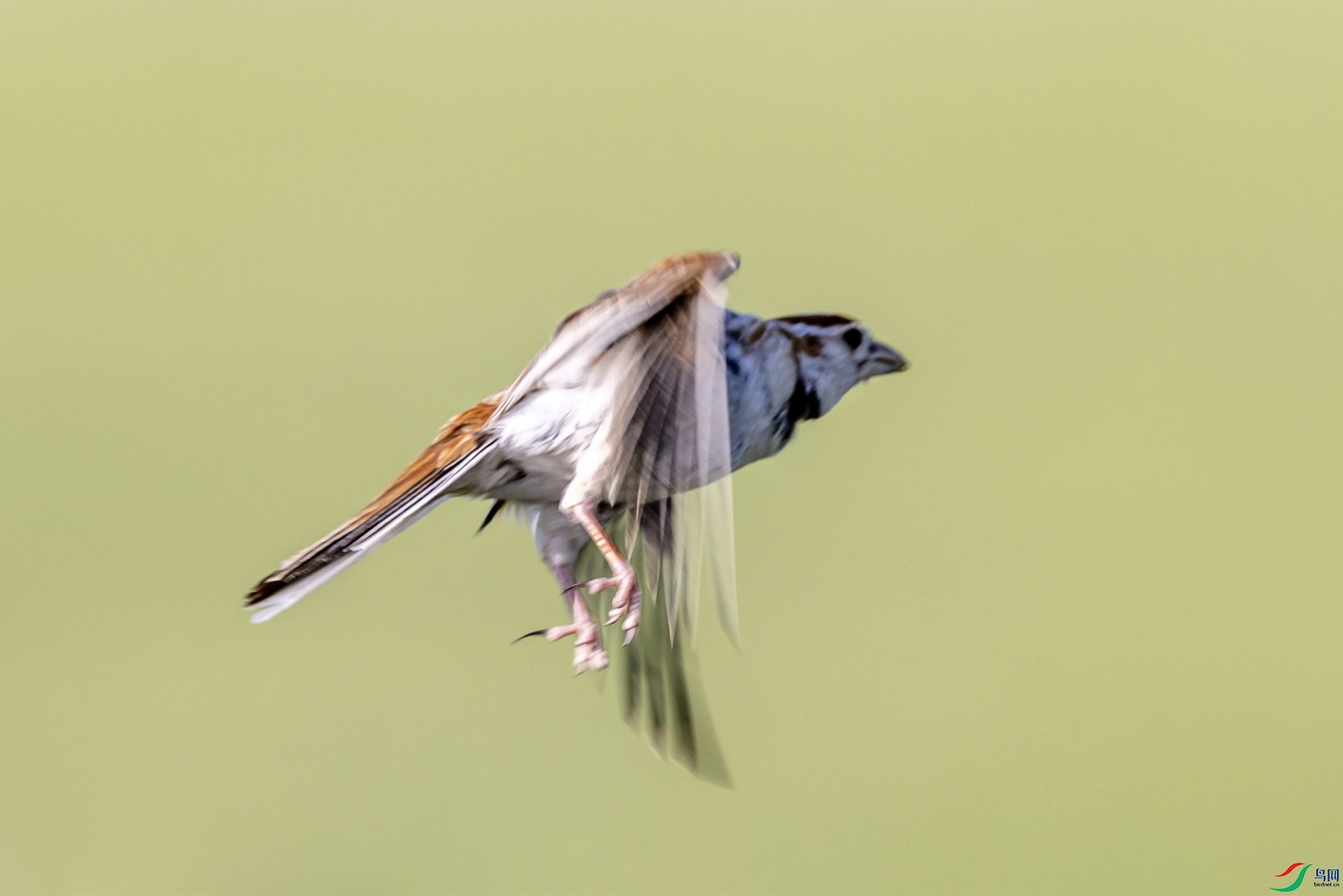 4K2A2000 �ɹŰ���001.jpg