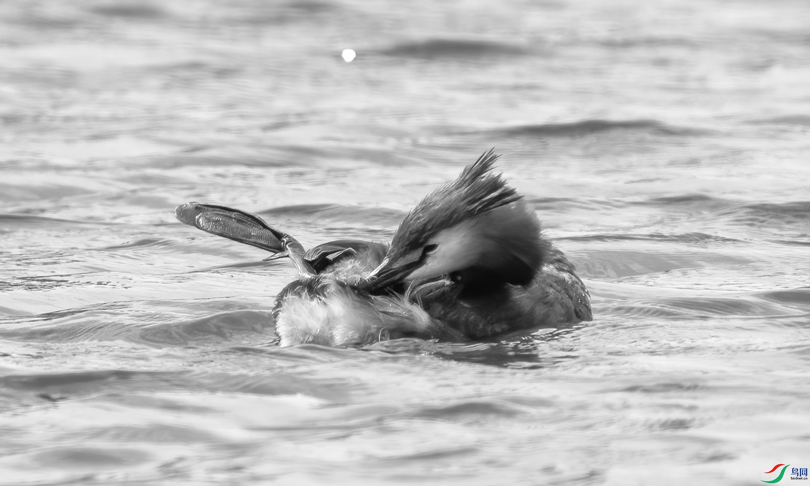 DSC05144 ����.jpg