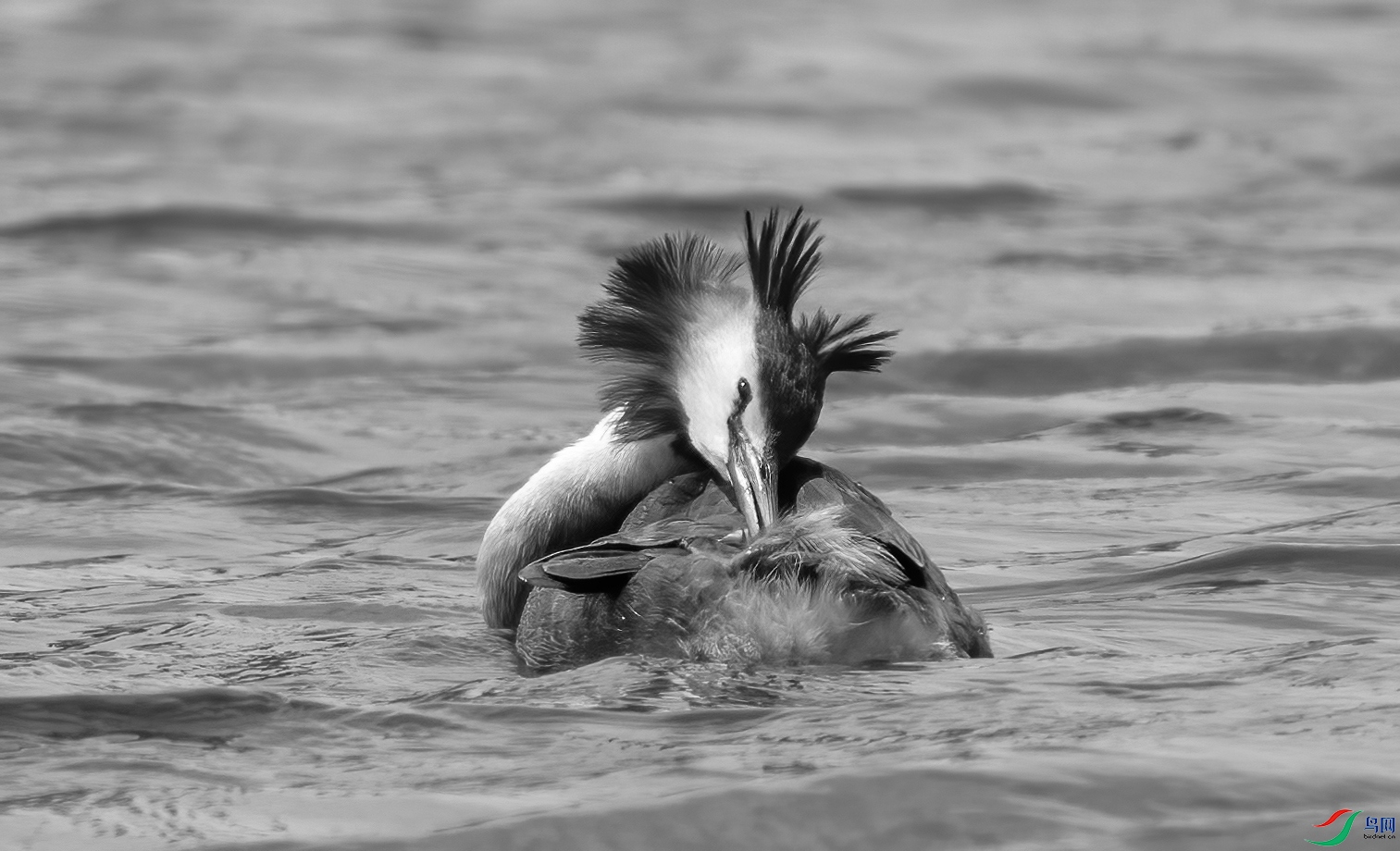 DSC05147 ����.jpg