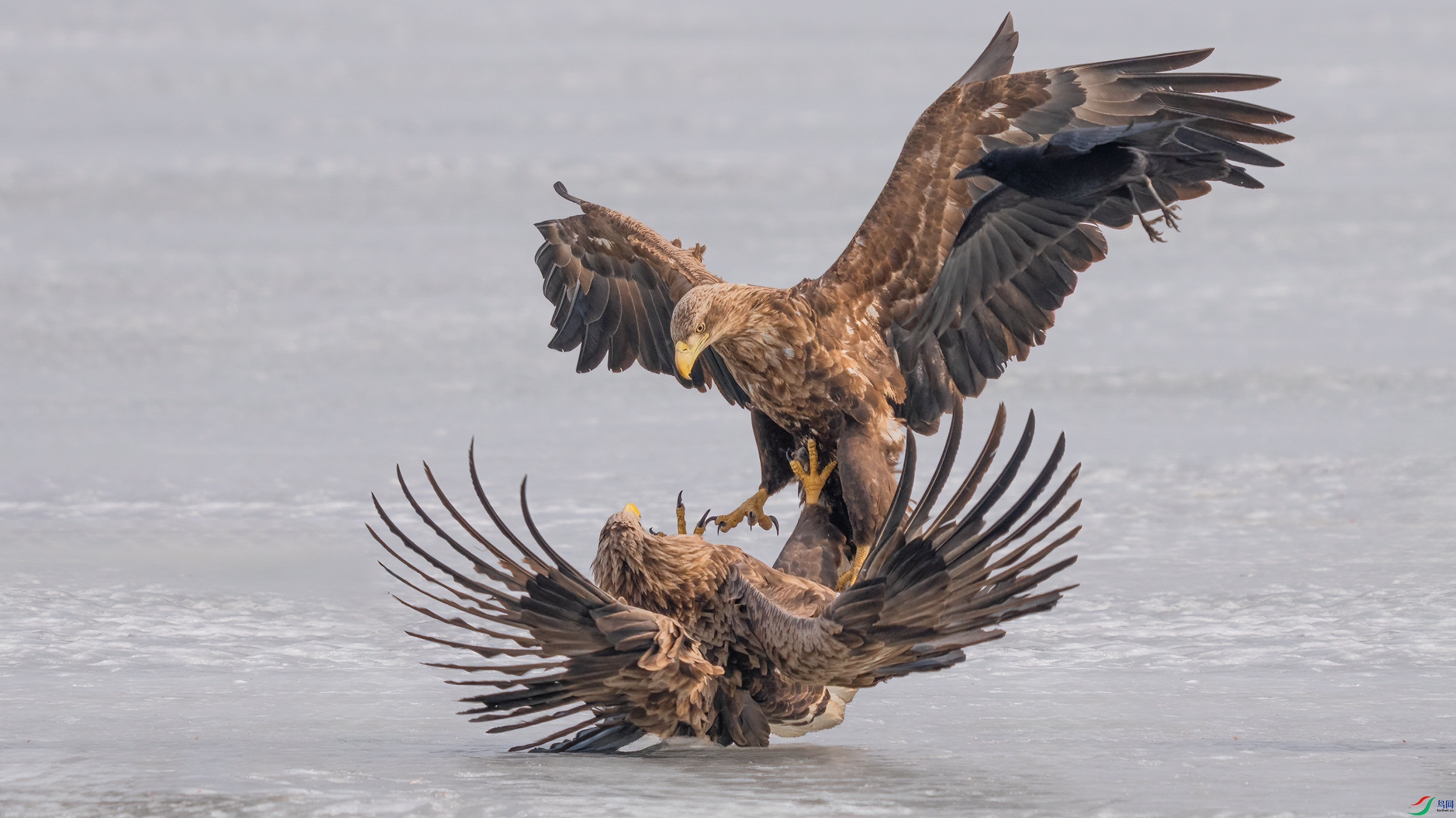 DSC08887 ���� 2.jpg