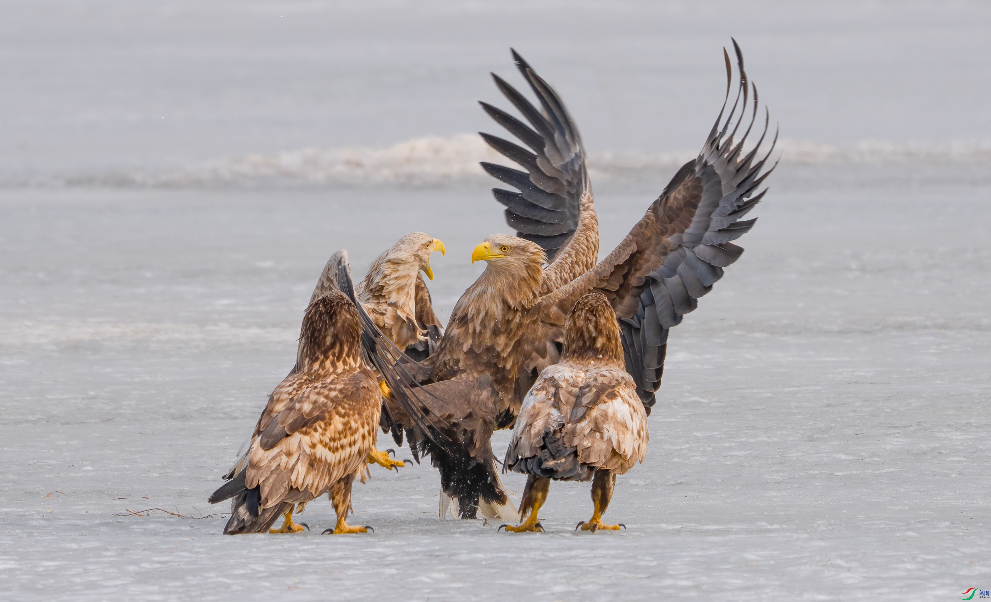 DSC04329 ���� 2.jpg