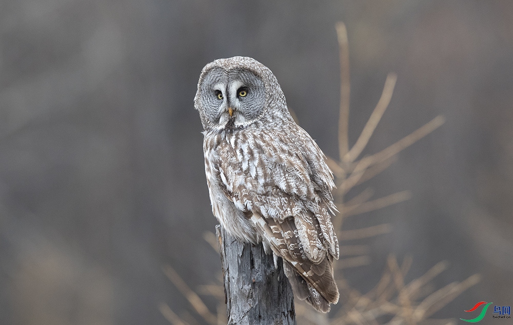 �����^ (3).jpg