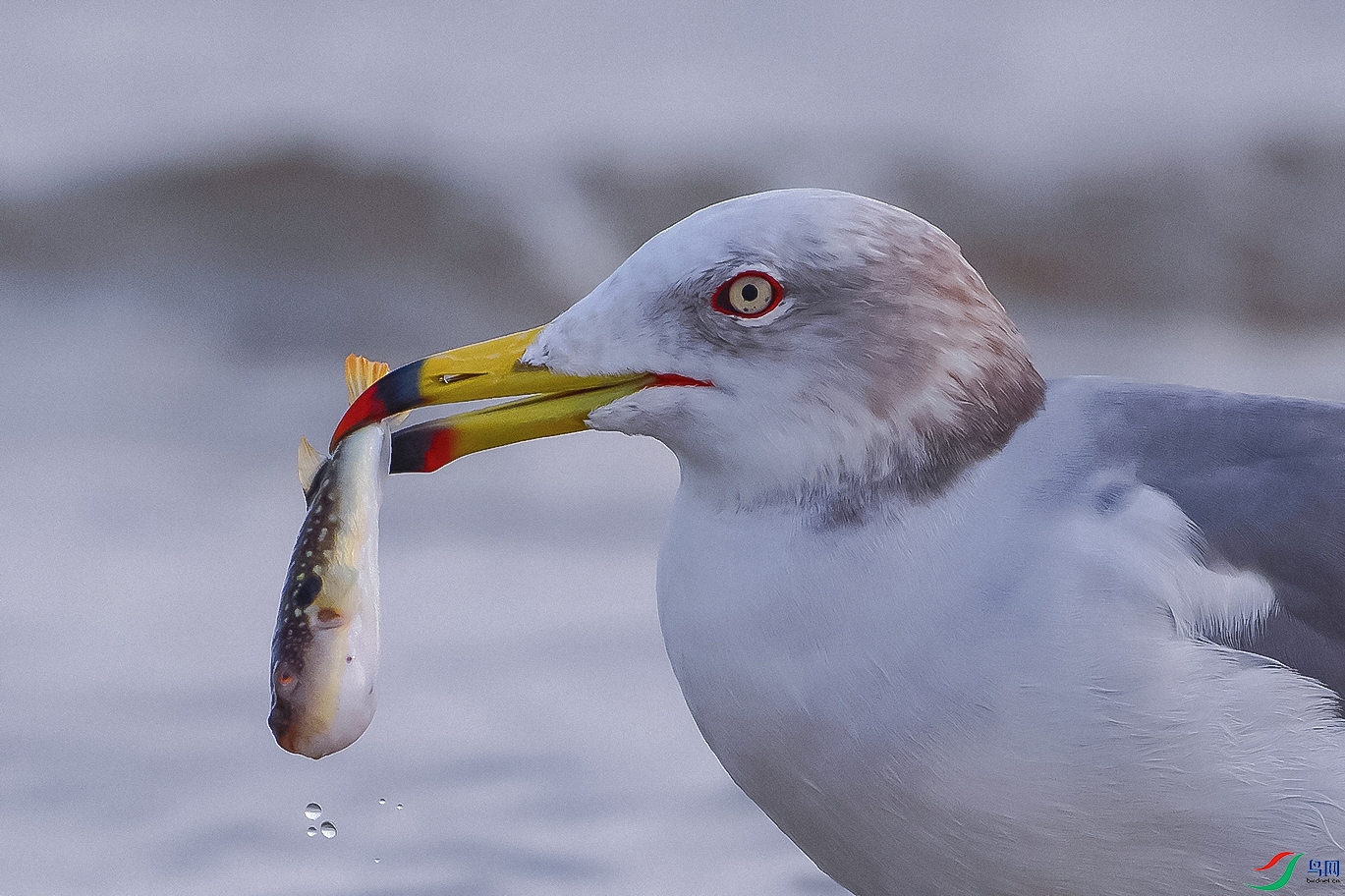 DSC_9113=--.jpg