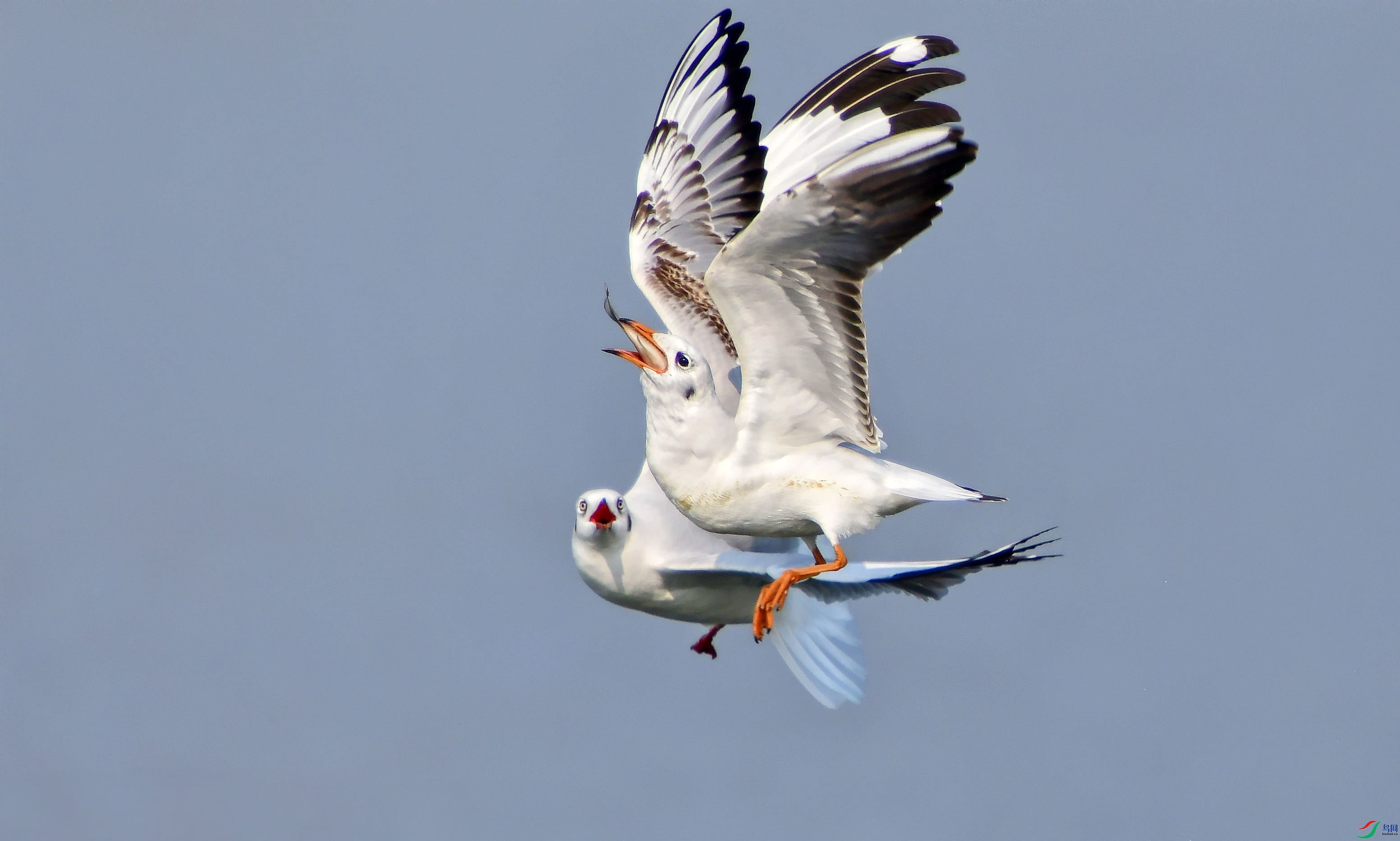 DSC_8671_conew4.jpg