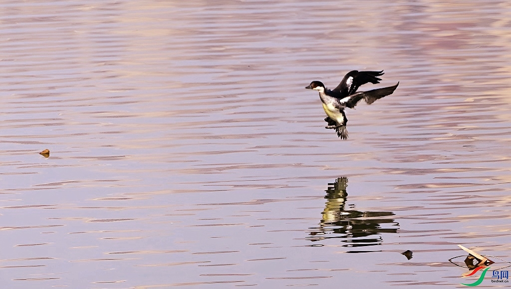 DSC_3228.JPG