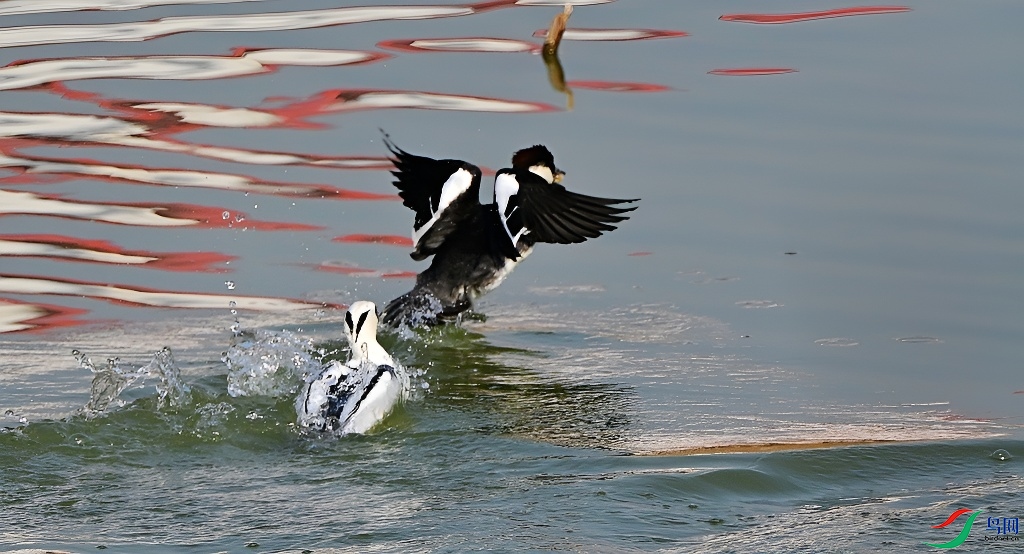 DSC_3464.JPG