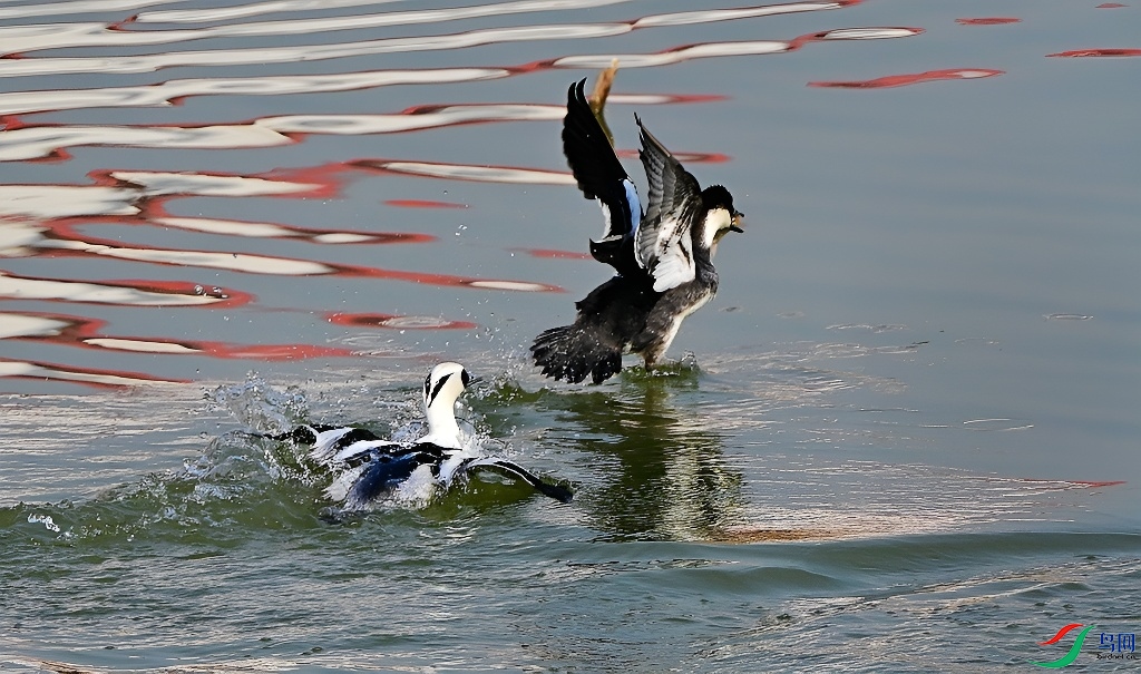 DSC_3465.JPG