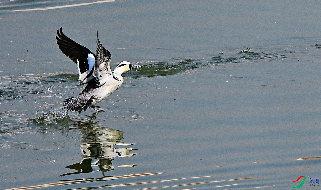 DSC_3484.JPG