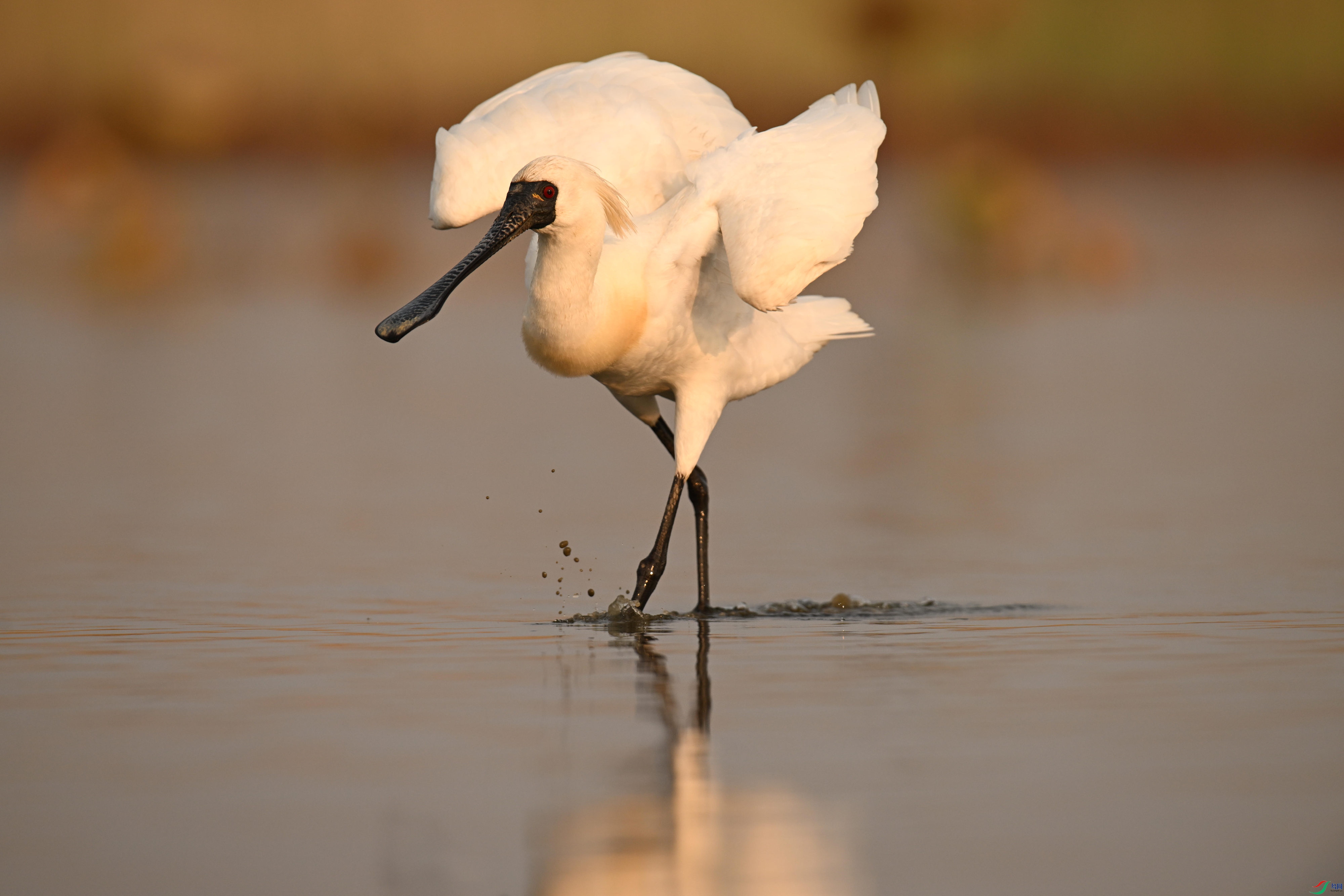 �������� (6).jpg