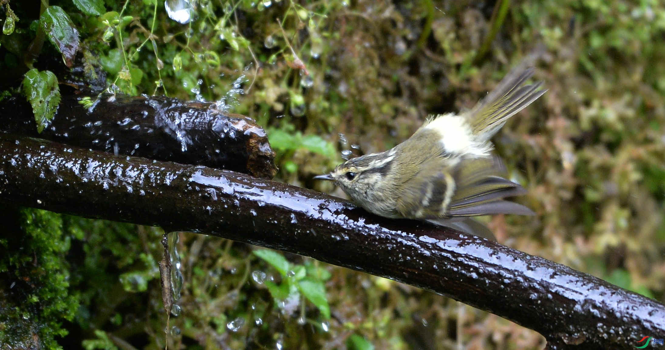 DSC_7656_����.jpg