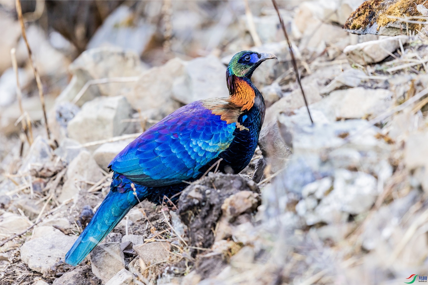 4K2A6114 ����.jpg