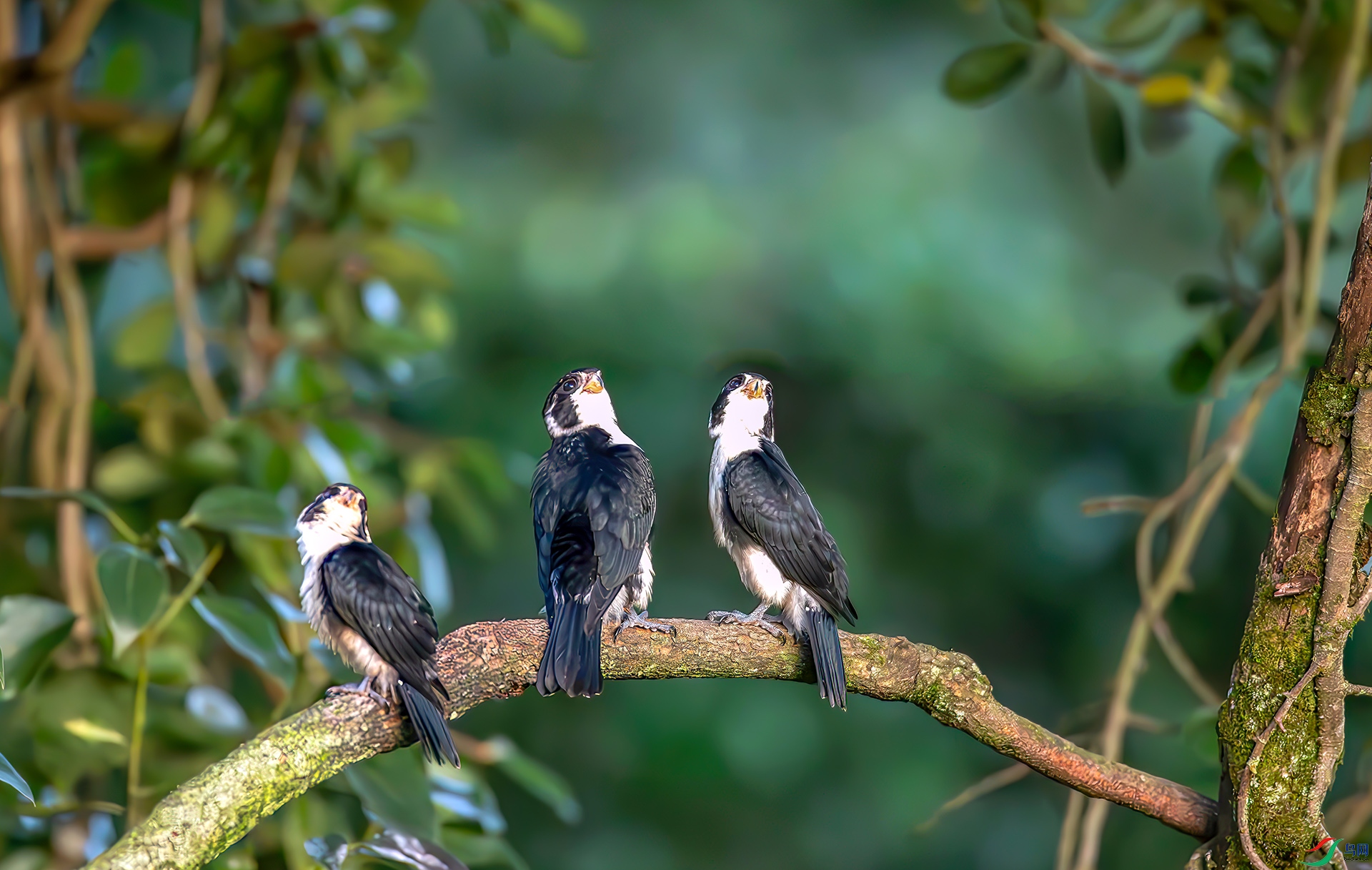 _S7I6033-----33  .jpg