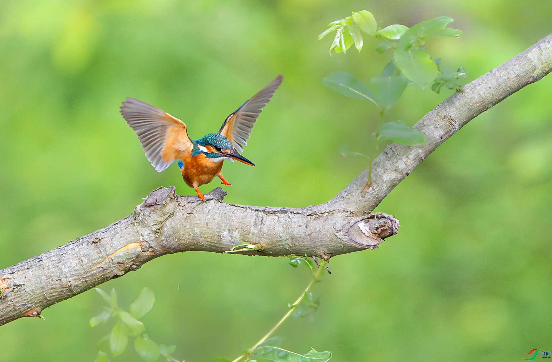 L25_6671-����ǿ-NR ����.jpg