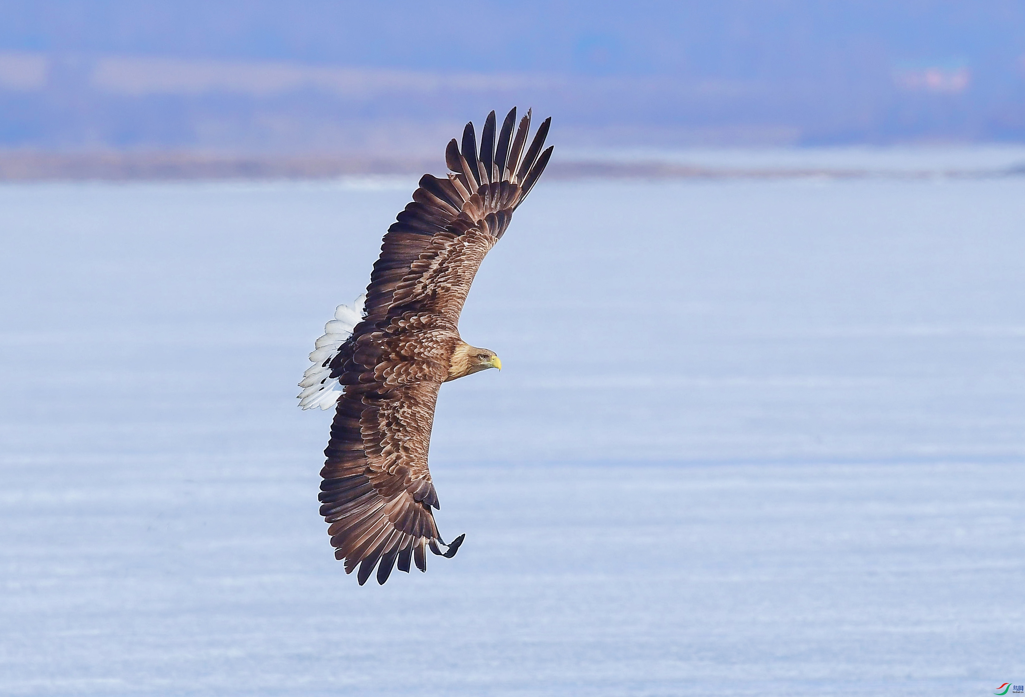 DSC_0501 ����.jpg