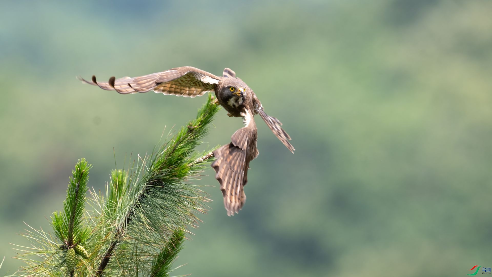 _DSC2684 ����.jpg