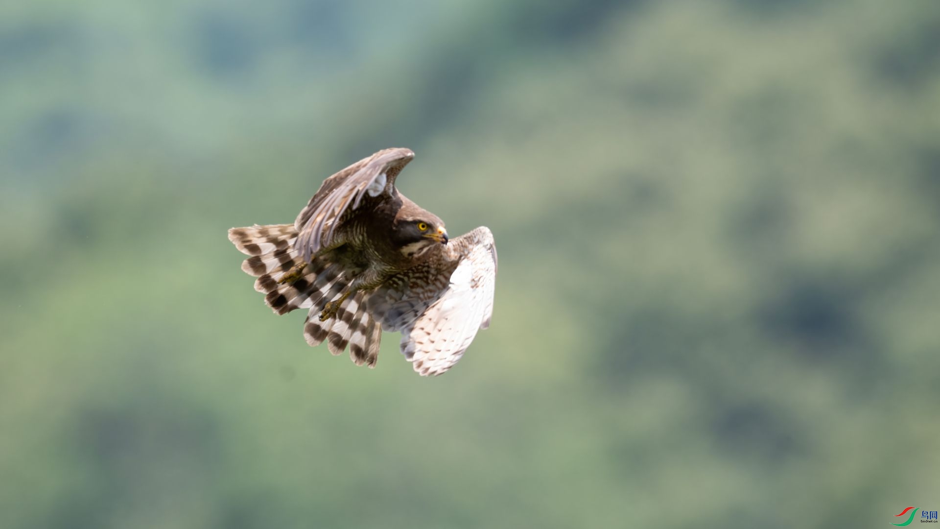 _DSC2688 ����.jpg