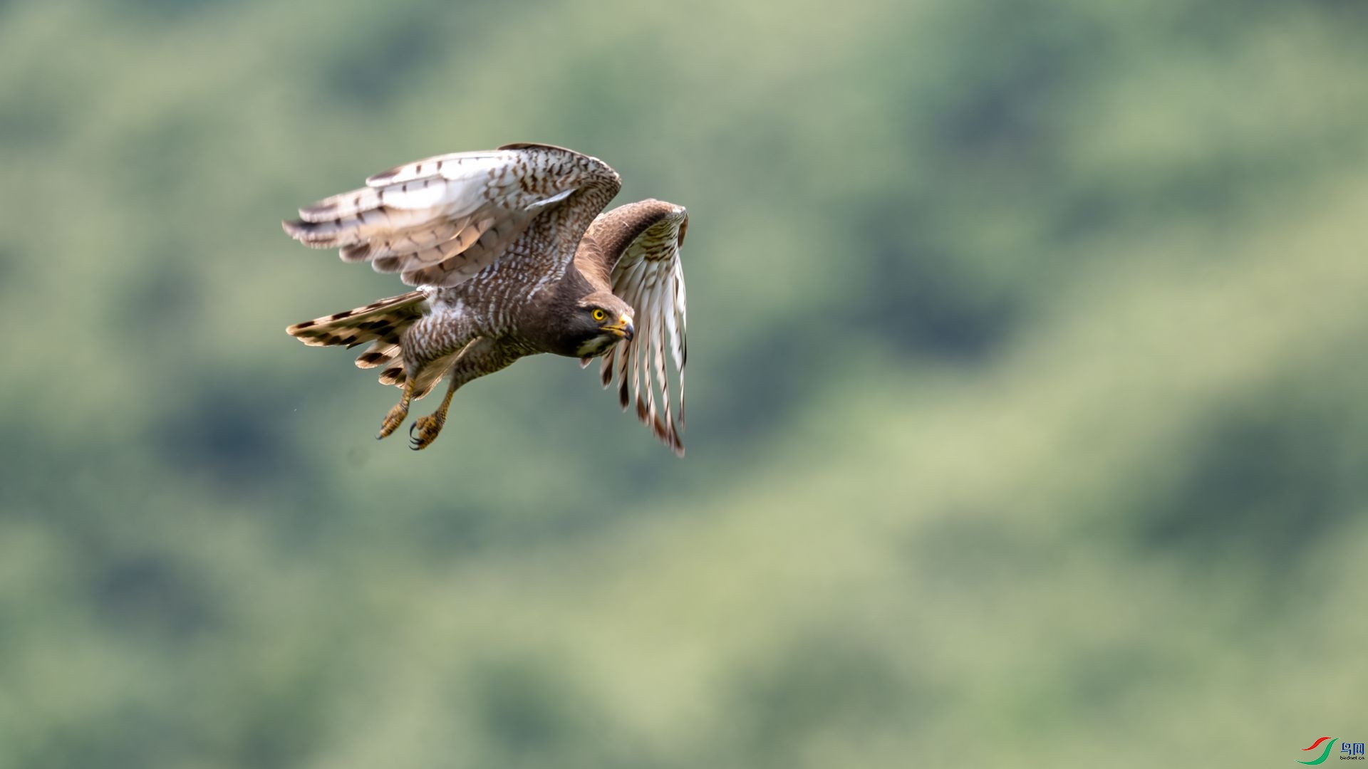 _DSC2692 ����.jpg