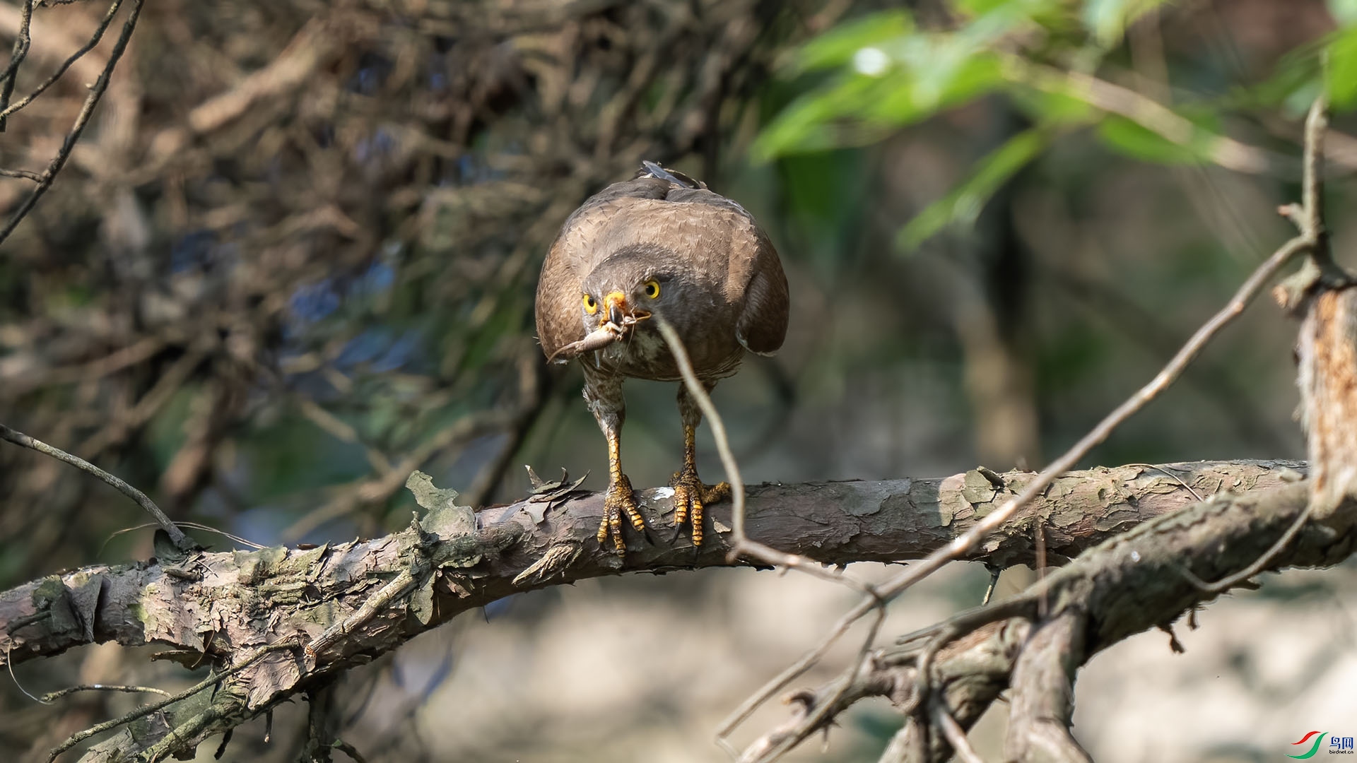 DSC00002 ���� 2.jpg