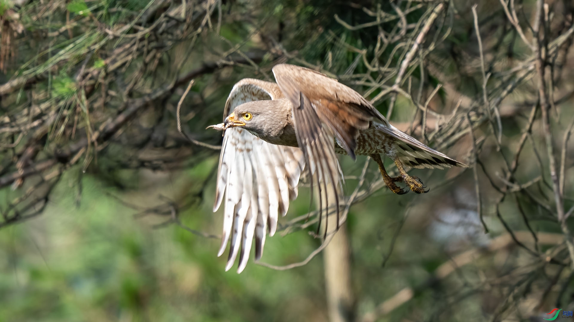 DSC00029 ����.jpg