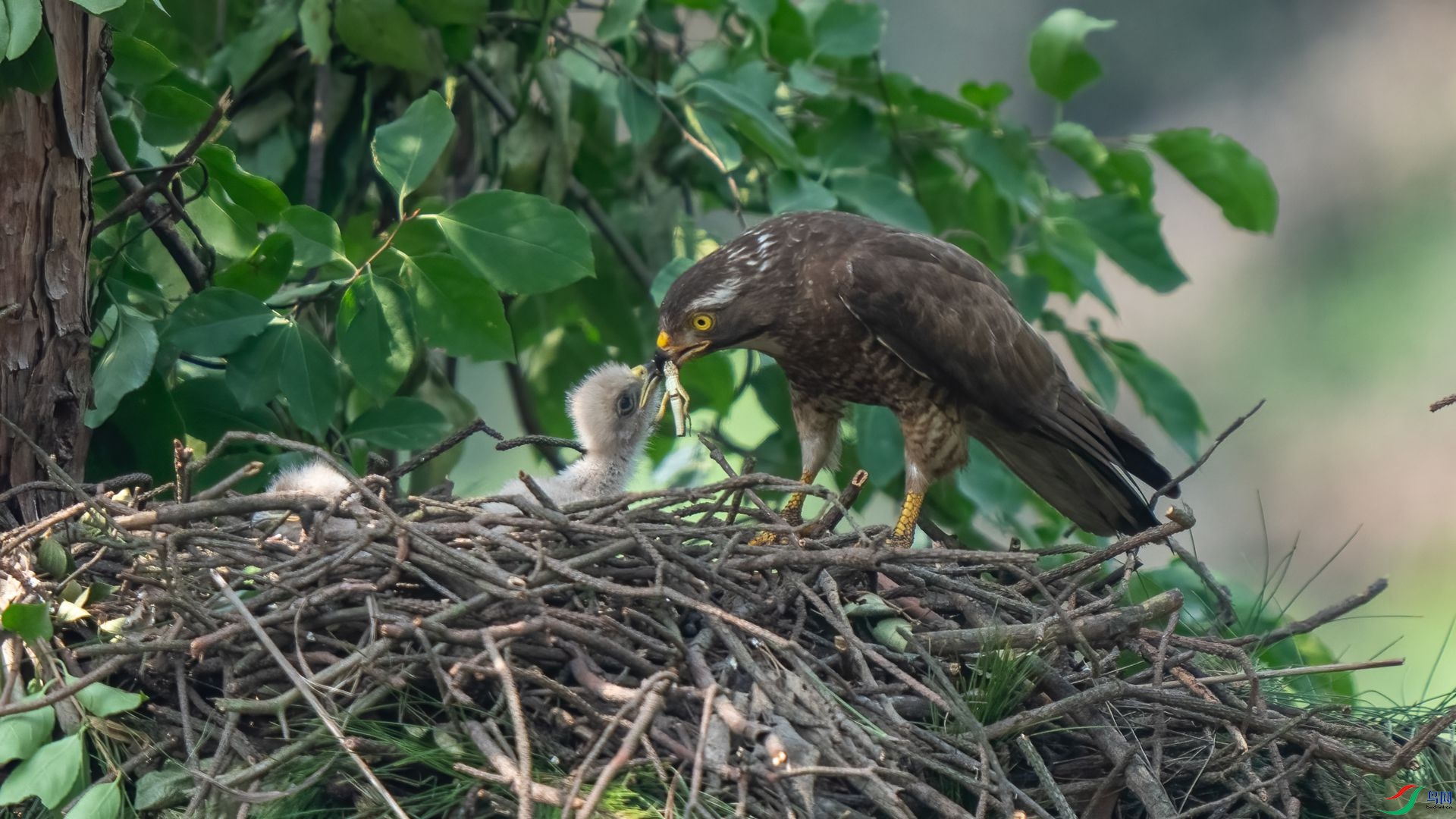 DSC04818 ����.jpg