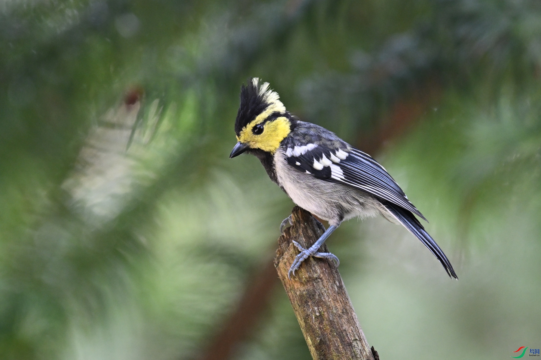 DSC_0095.JPG