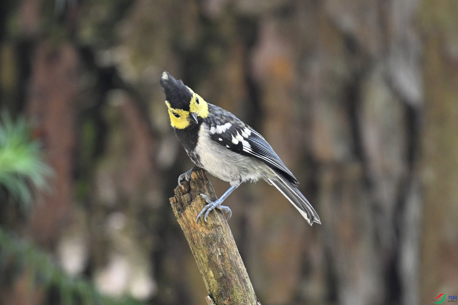 DSC_0080.JPG