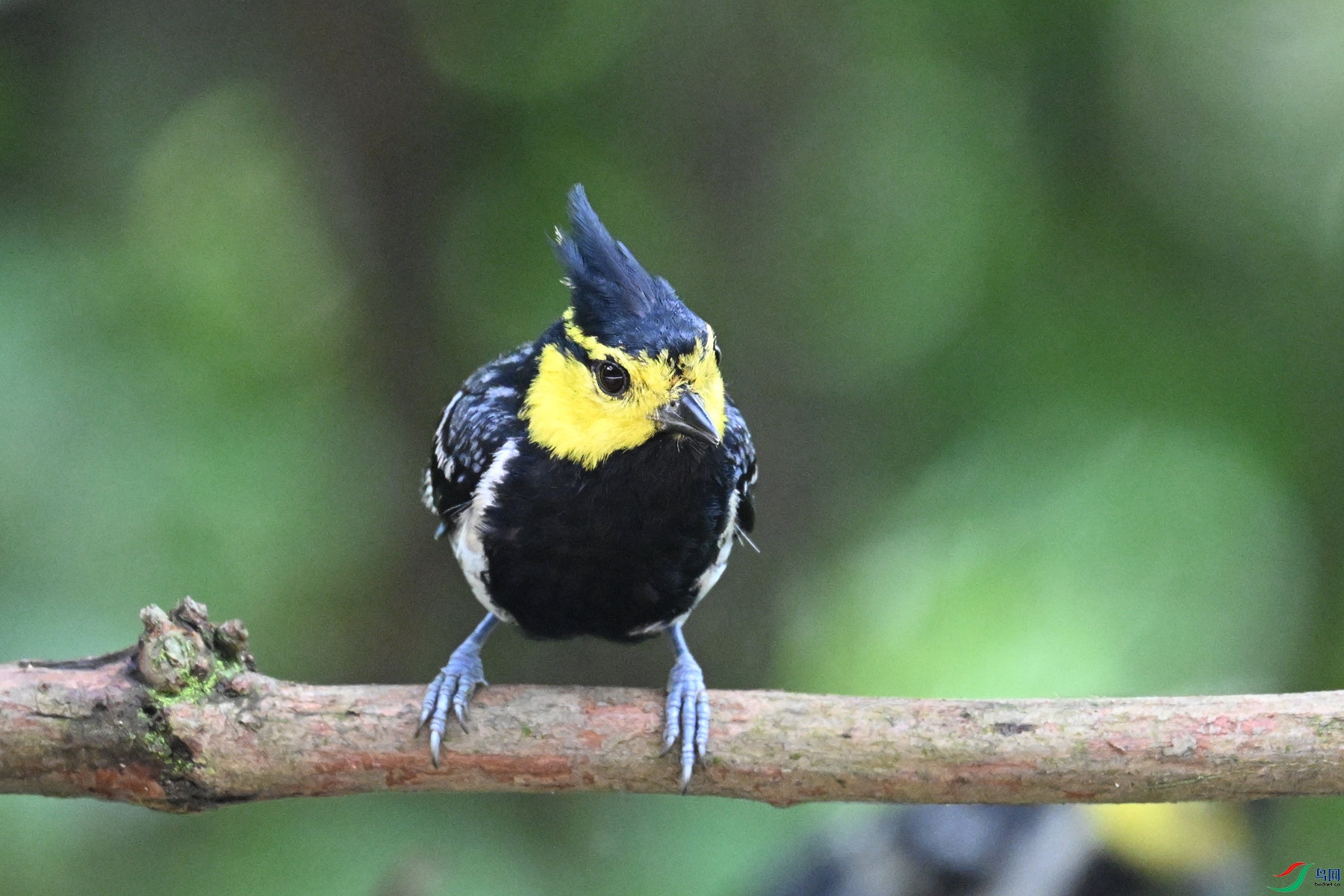 DSC_0059.JPG
