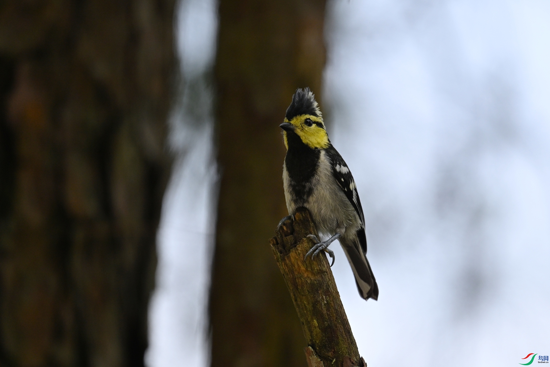 DSC_0075.JPG