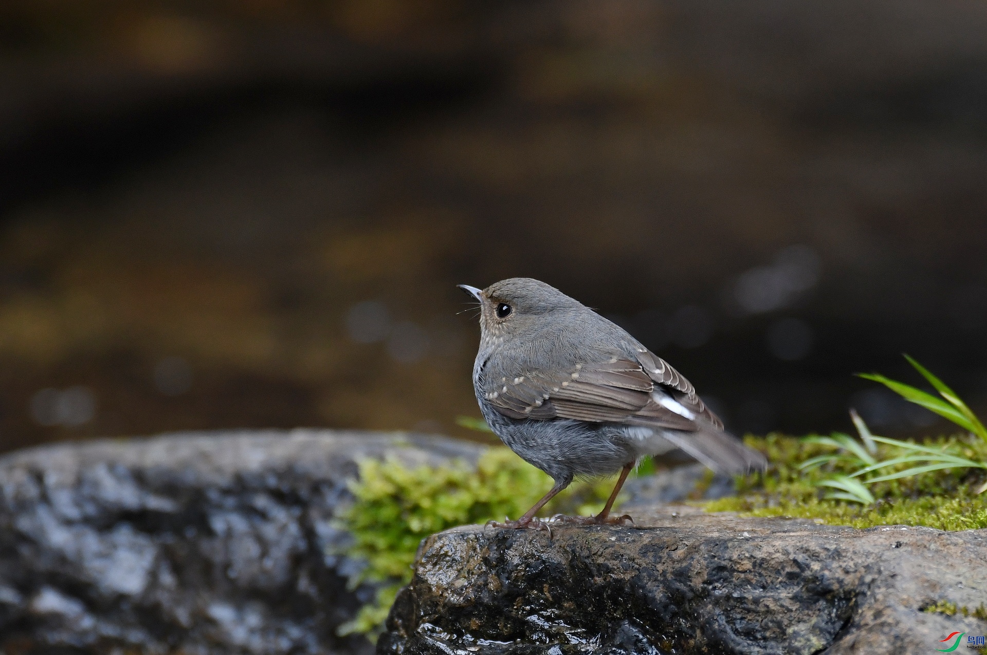 DSC_4889.jpg