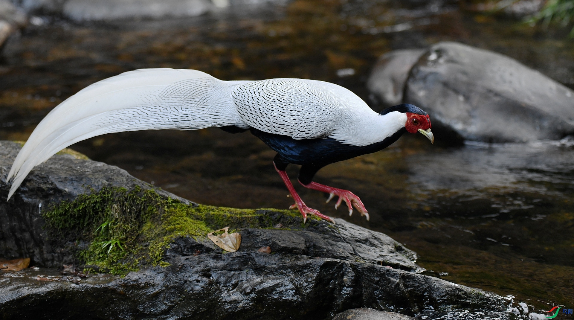 DSC_5657.jpg