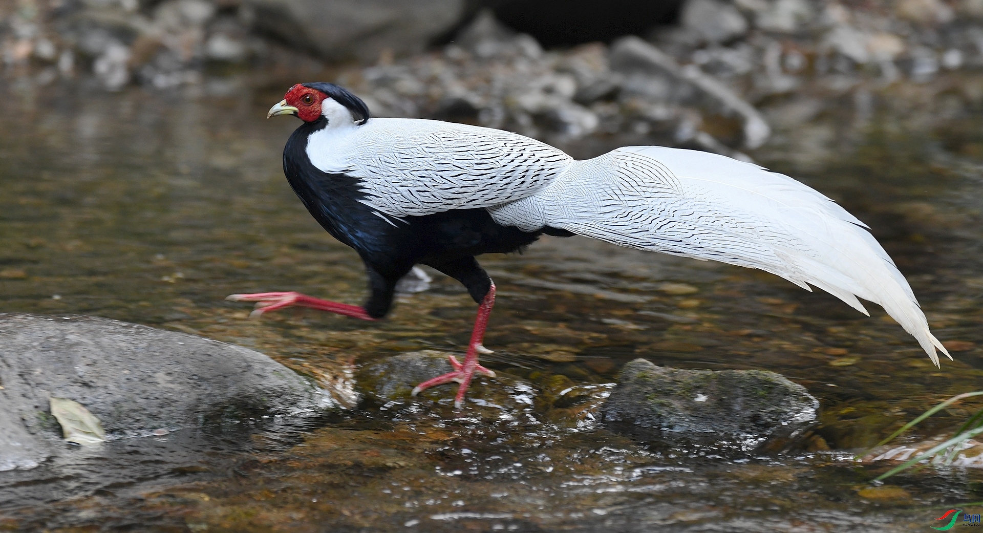DSC_5750.jpg