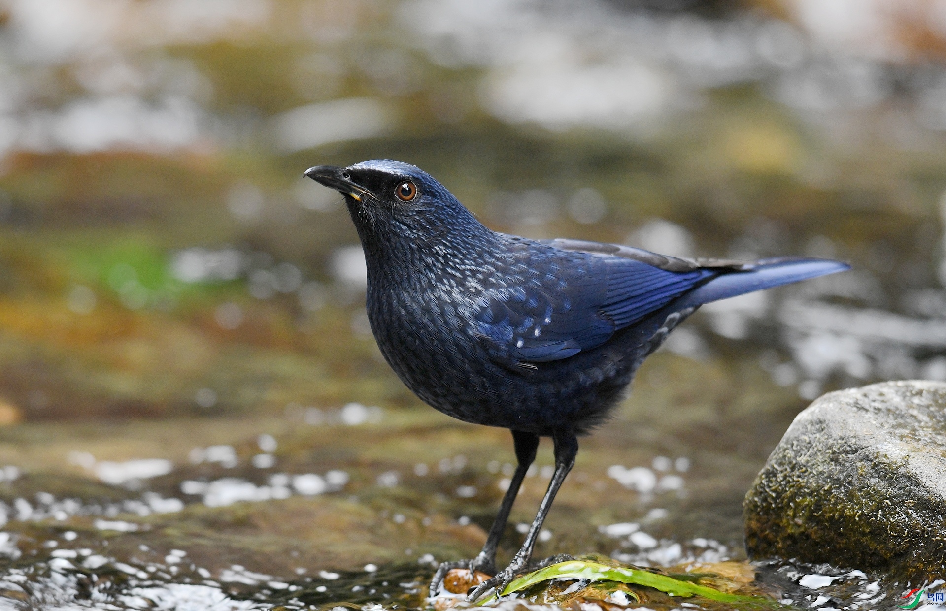 DSC_6674.jpg