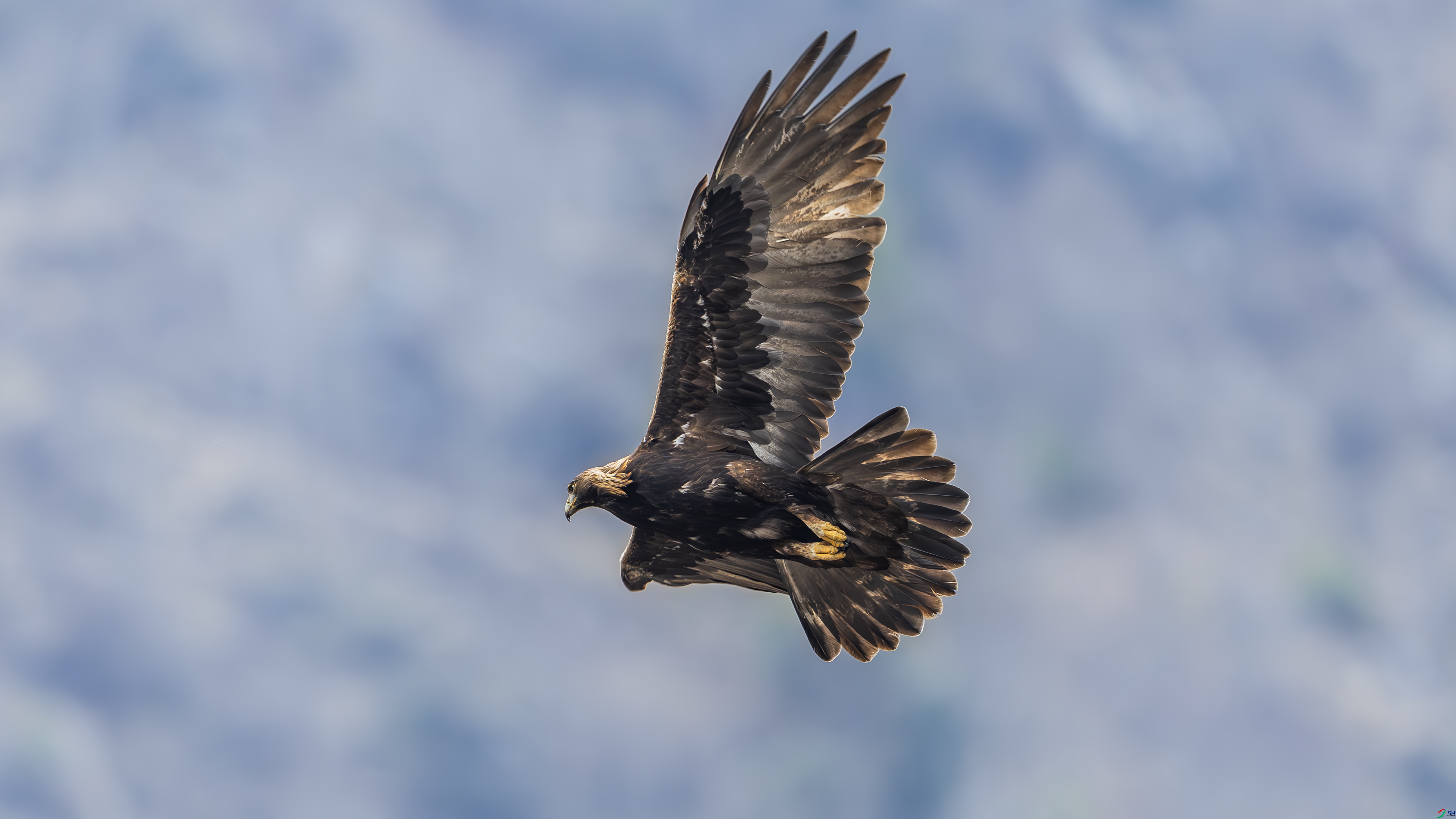 _O7A3070-��� 6.jpg