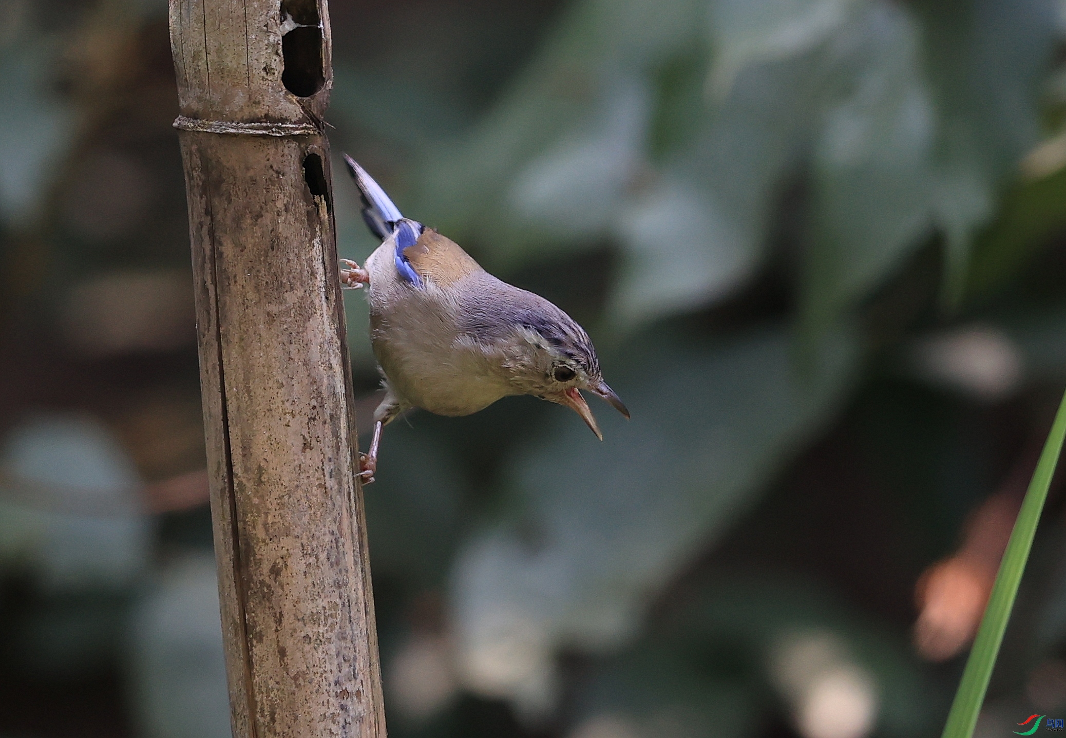 AK1I0478�� ��1.JPG