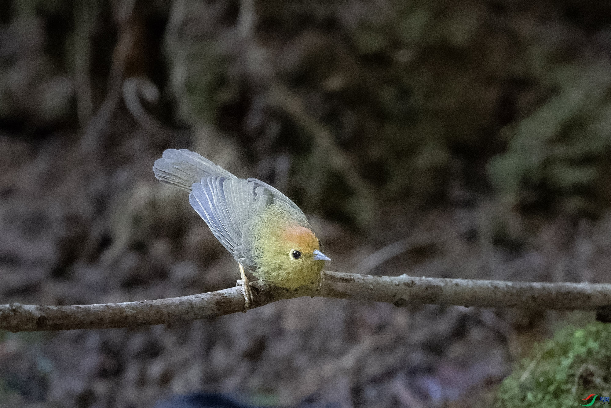 DSC_7667.jpg