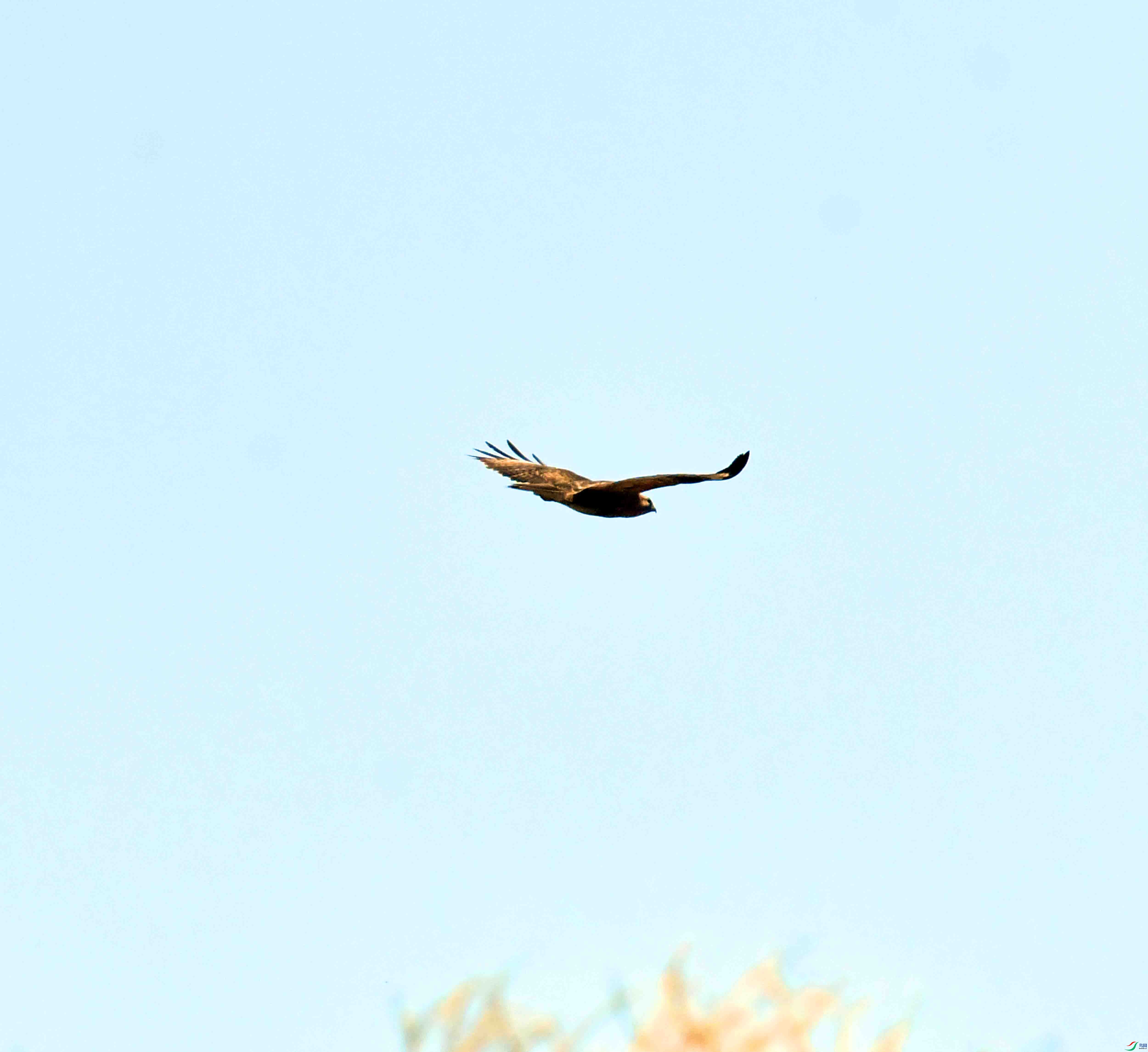 DSC_1635.JPG