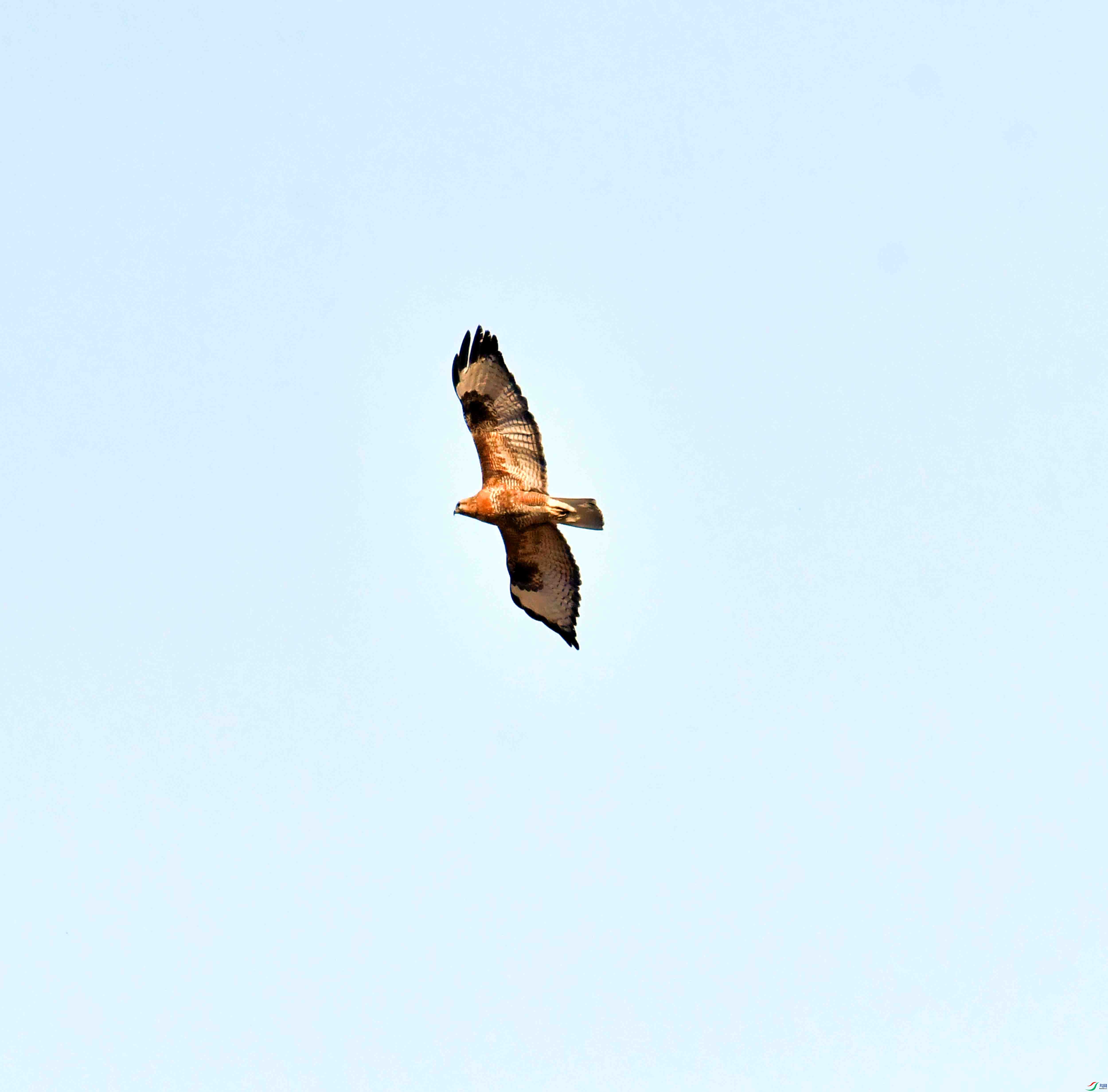 DSC_1647.JPG