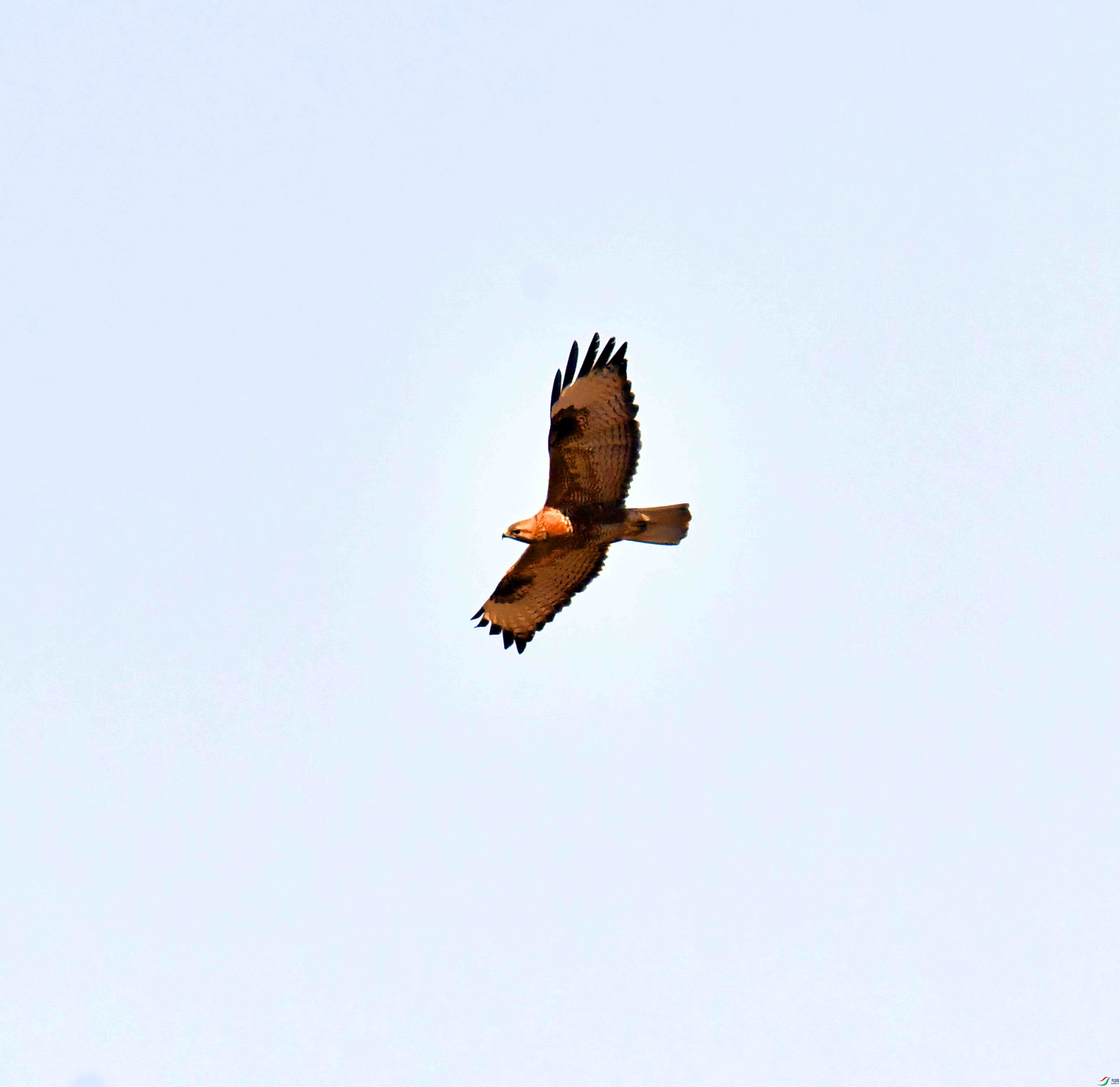 DSC_1645.JPG