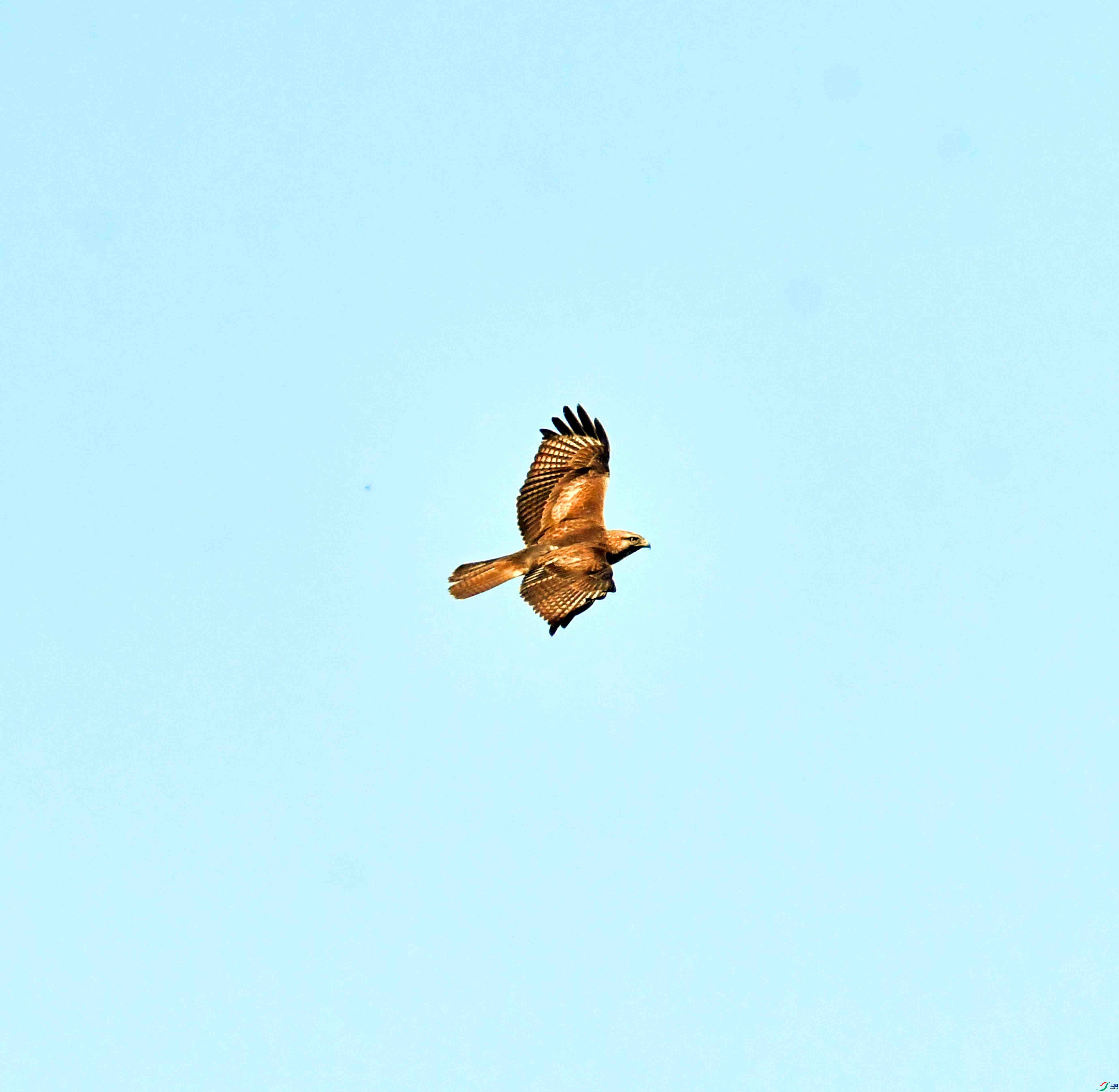 DSC_1657.JPG