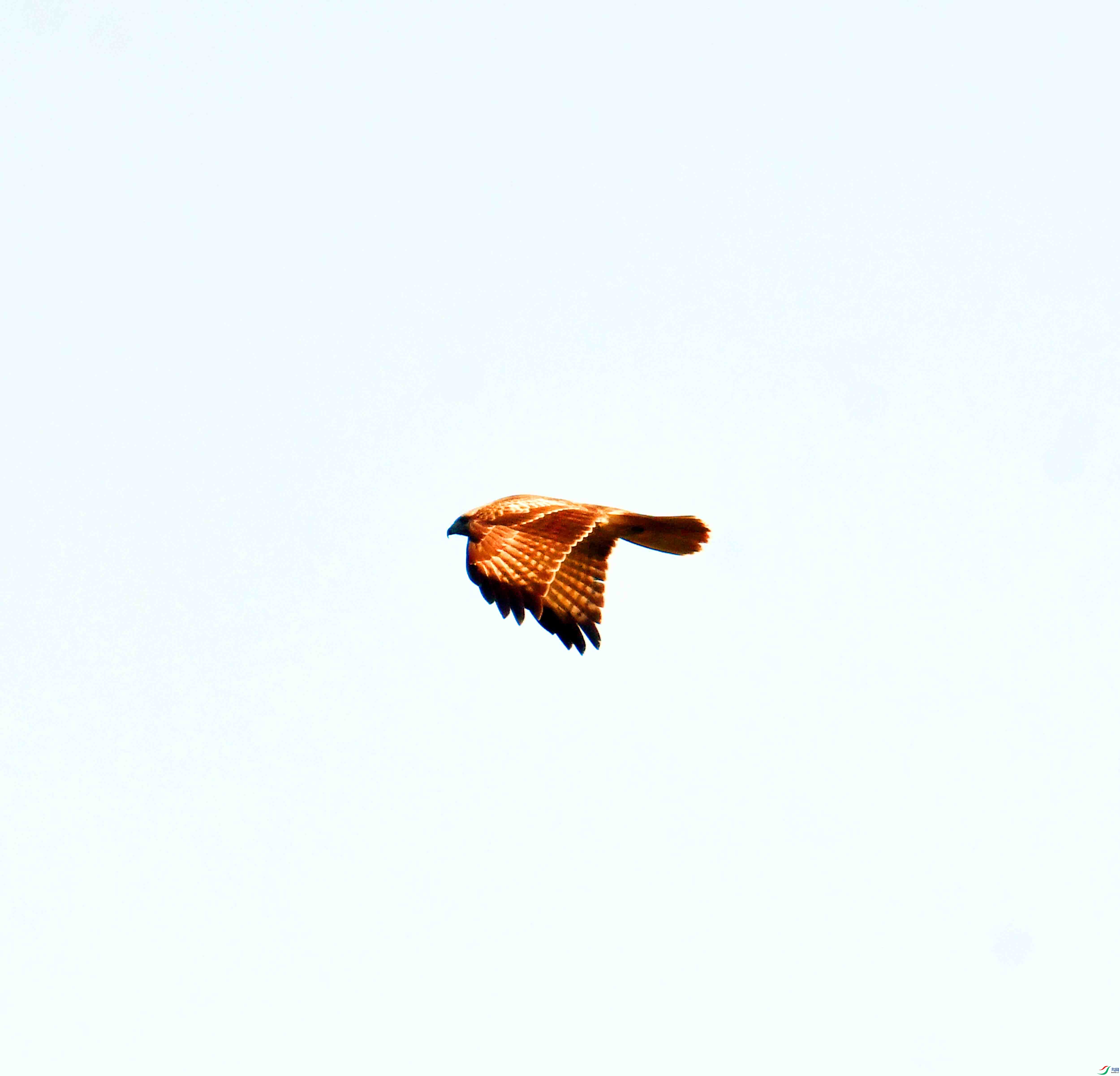 DSC_5828.JPG