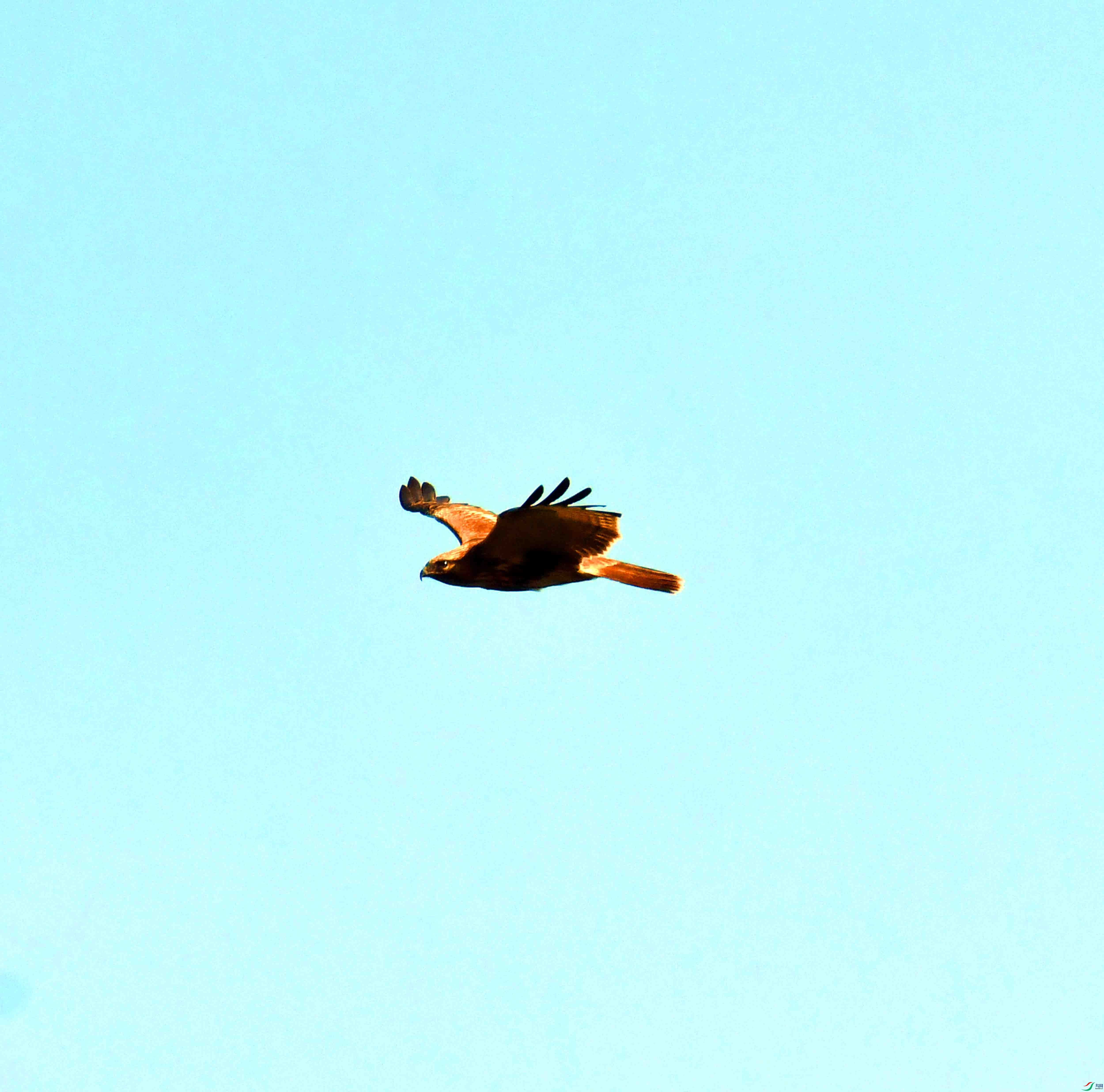 DSC_5832.JPG