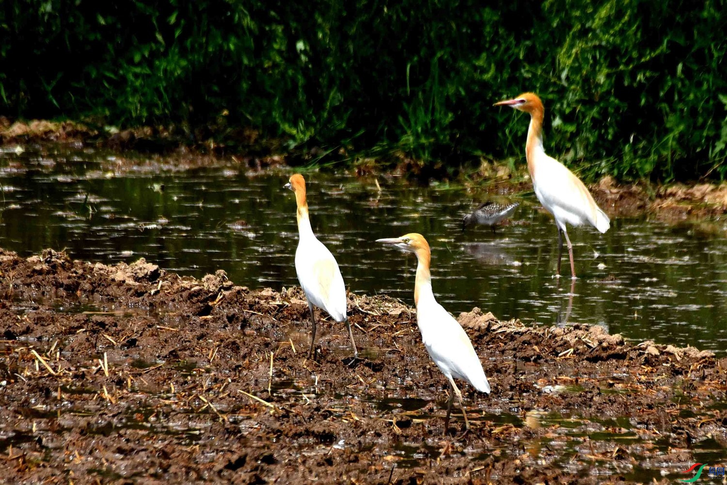 DSC_8026.JPG