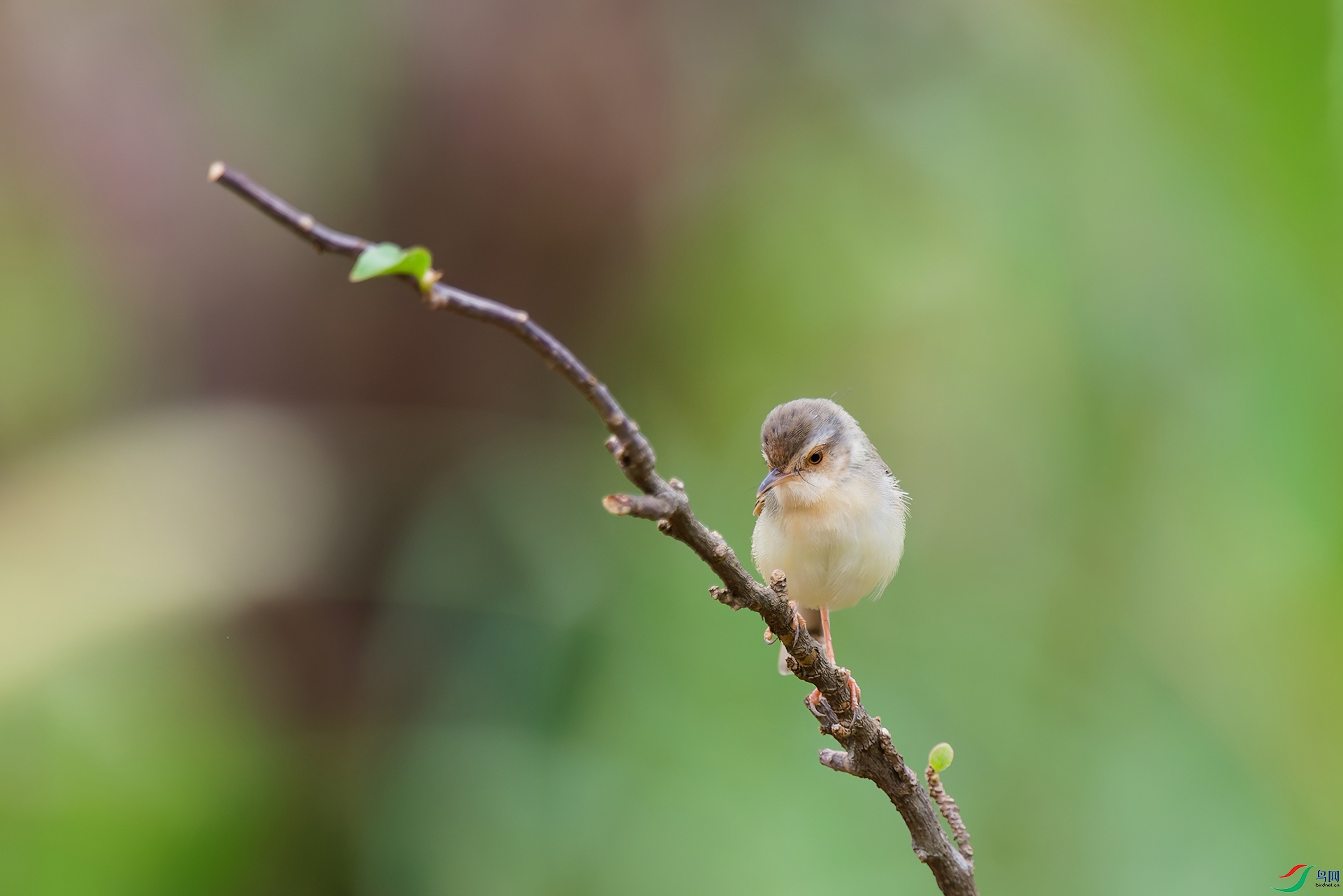 DSC_8565_DxO_DxOa.jpg