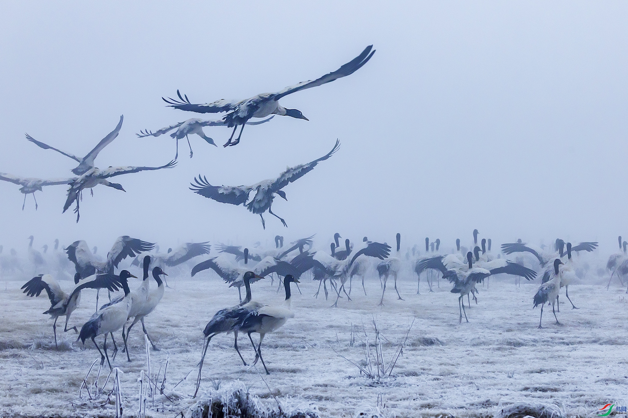 0F7A3294 ����.jpg