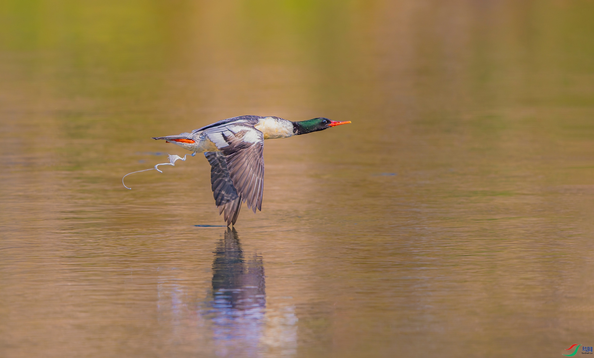 _25_8418 ����.jpg