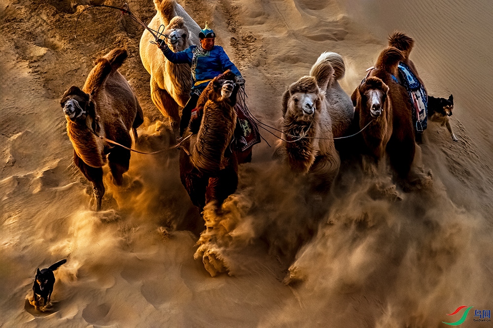 ɳ������