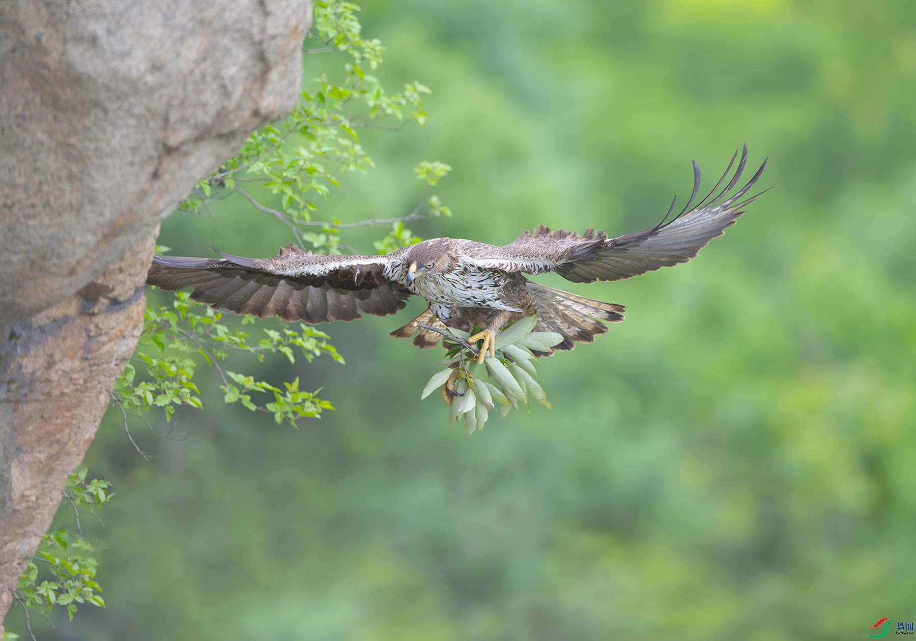 DSC_1831-����ǿ-NR ���� 2.jpg